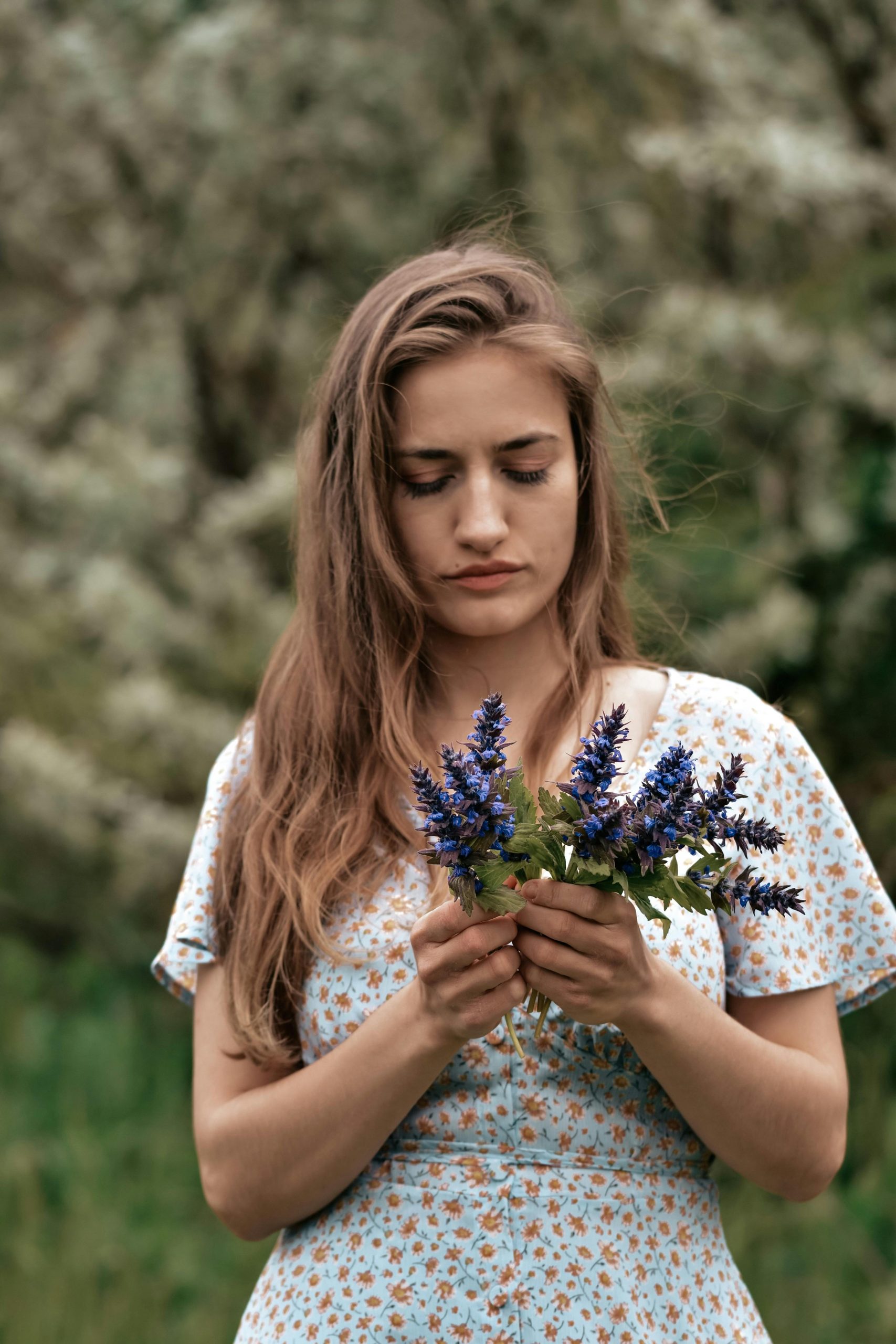 Fleurs de Bach pour dépression - Efficacité et avis