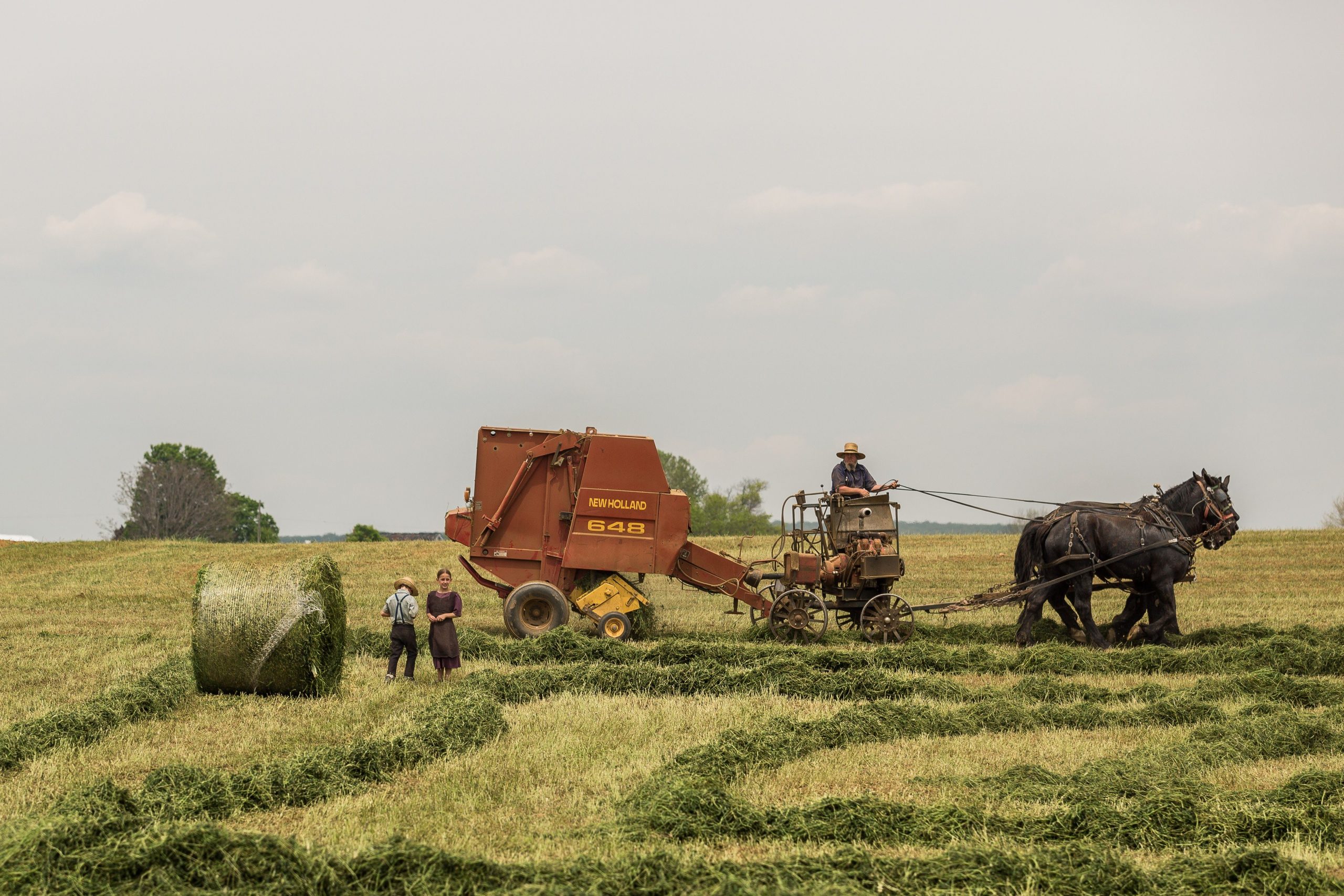 Mythe et réalité sur la polygamie Amish
