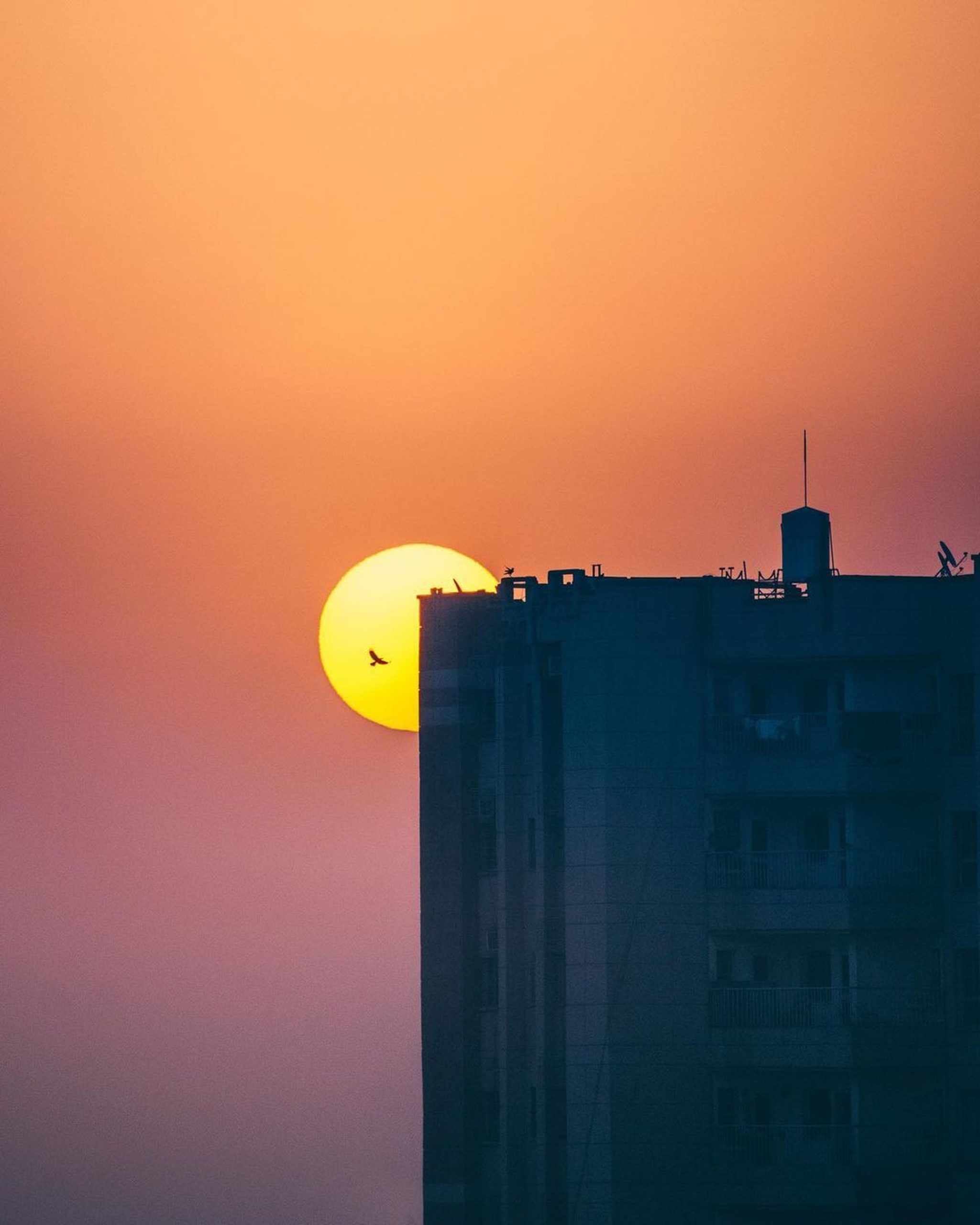 Silhouette d'un bâtiment avec un oiseau volant à proximité lors d'un coucher de soleil vibrant, créant une ligne d'horizon dramatique.