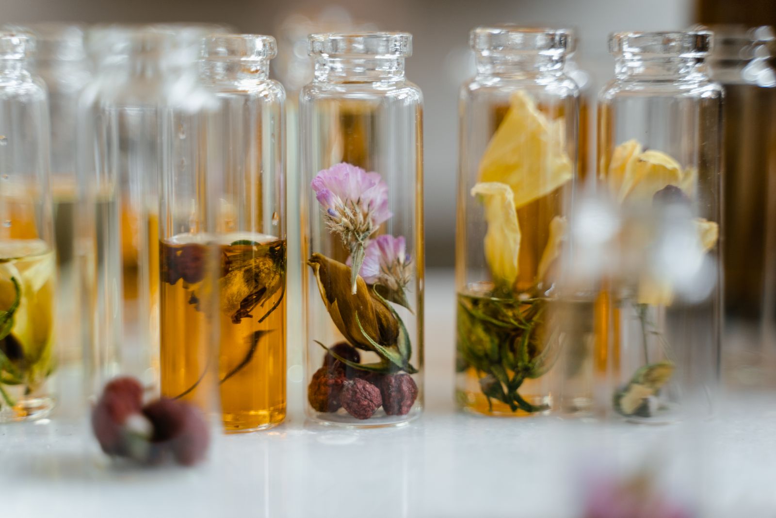 Fleurs séchées plongées dans des fioles de verre pour composer un parfum